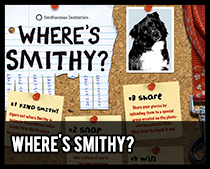 Where's Smithy?
